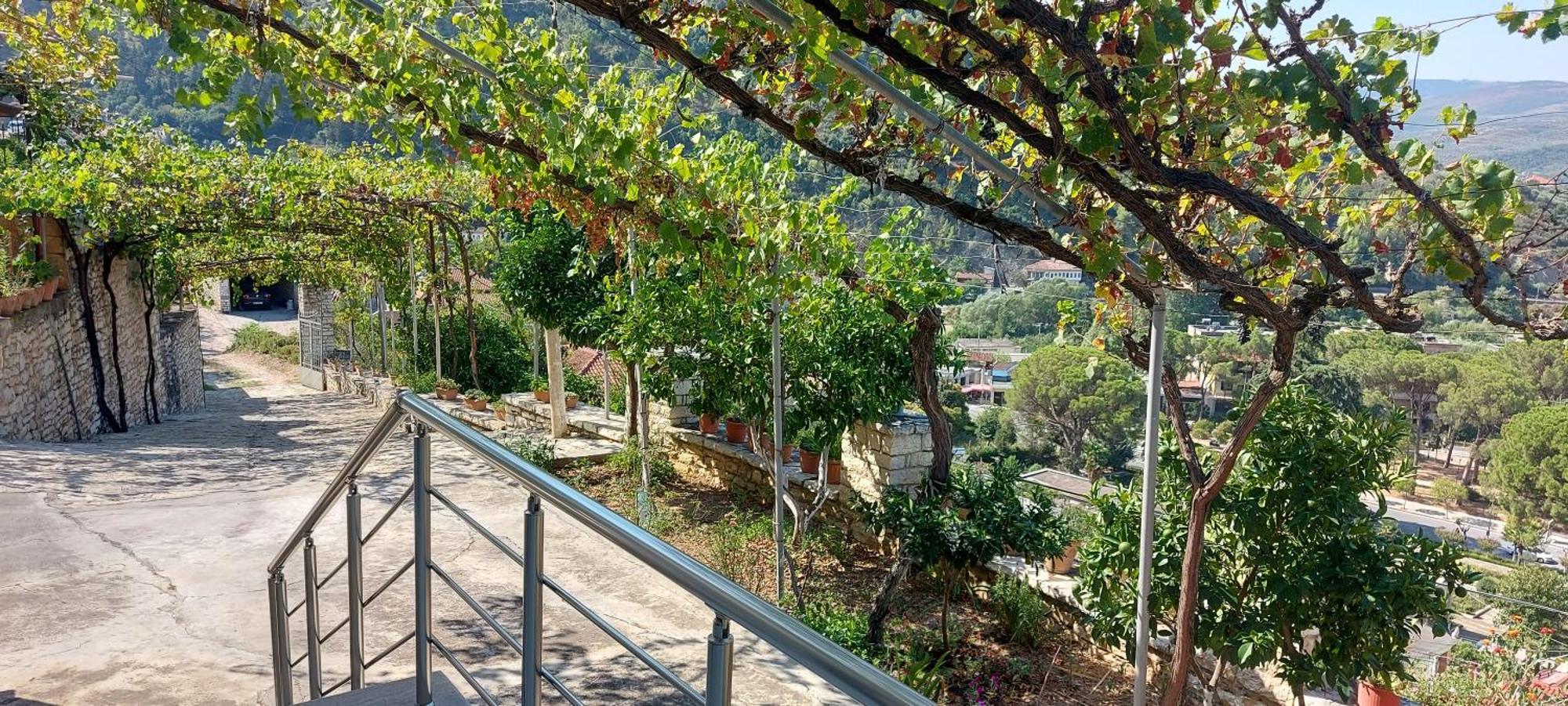 Green Forest Berat Buitenkant foto